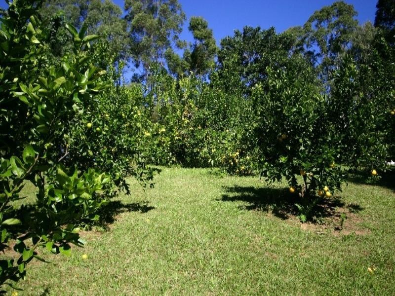 77 King Parrot Lane, Cooroy QLD 4563