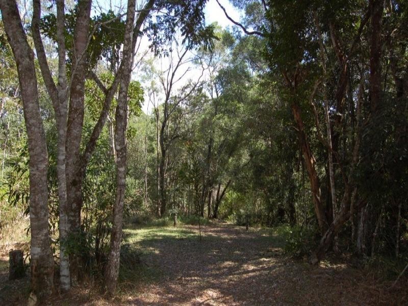 77 King Parrot Lane, Cooroy QLD 4563