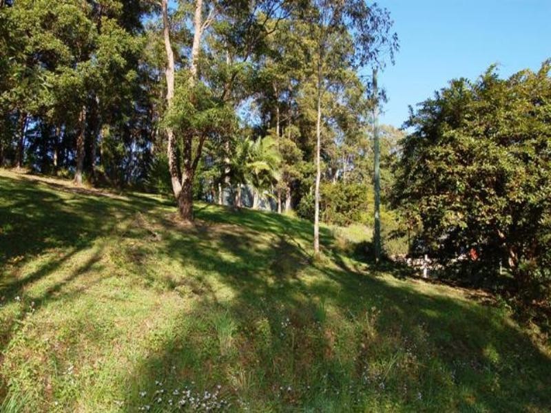 71 Cash Road, Eumundi QLD 4562