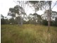 187 Eumarella Road, Weyba Downs QLD 4562
