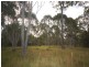187 Eumarella Road, Weyba Downs QLD 4562