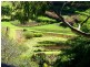 241 Duke Road, Doonan QLD 4562