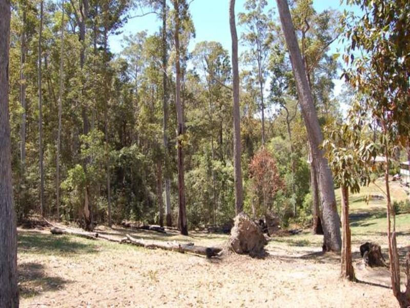 42 White Wood Court, Lake Macdonald QLD 4563