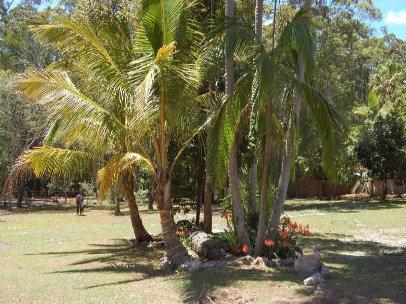 199 Beddington Road, Doonan QLD 4562
