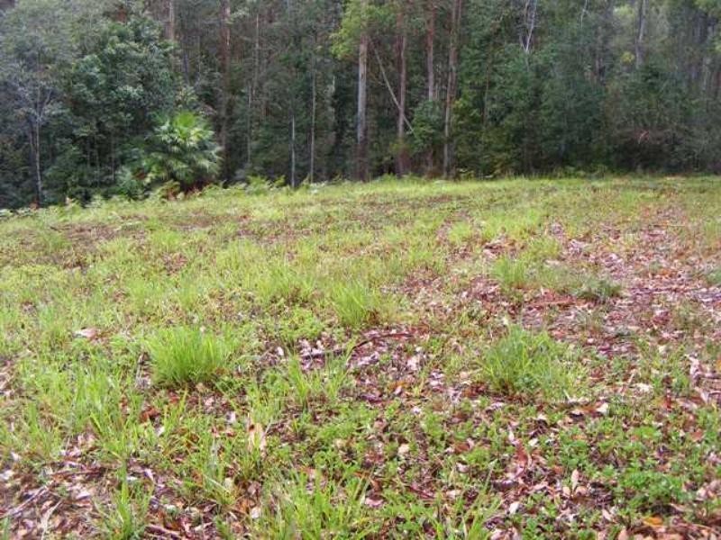 80 Pheasant Lane, Doonan QLD 4562