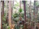80 Pheasant Lane, Doonan QLD 4562