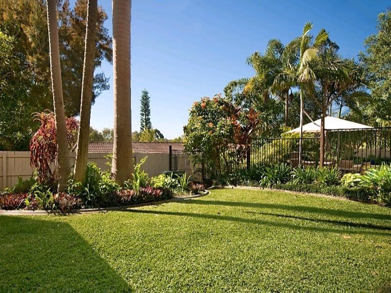 6 Birch Court, Tewantin QLD 4565