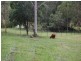 Verrierdale QLD 4562