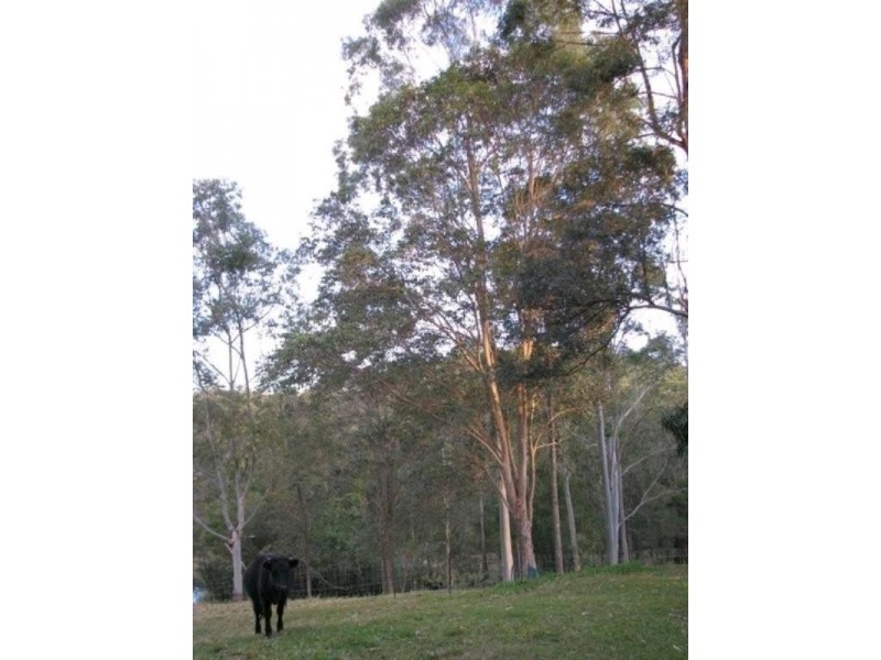 Verrierdale QLD 4562