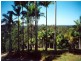 Doonan QLD 4562