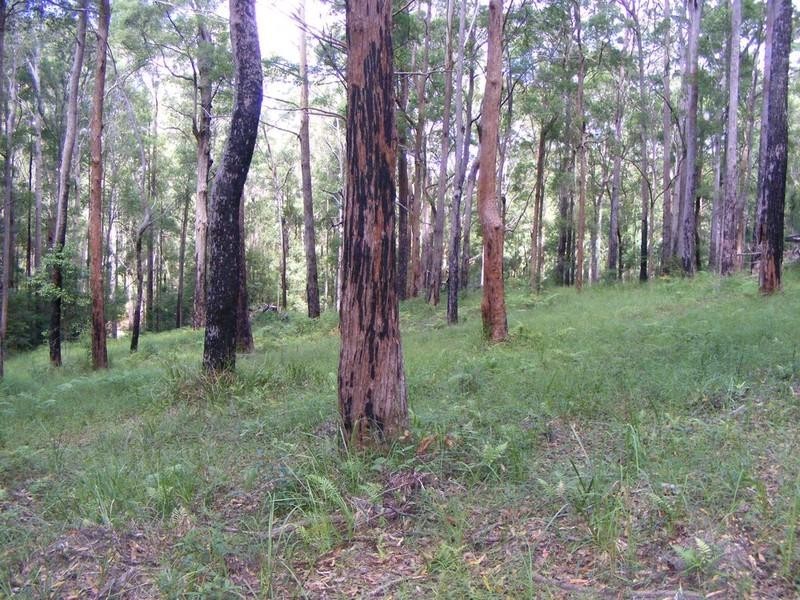 Lot 2 Dean Road, Verrierdale QLD 4562