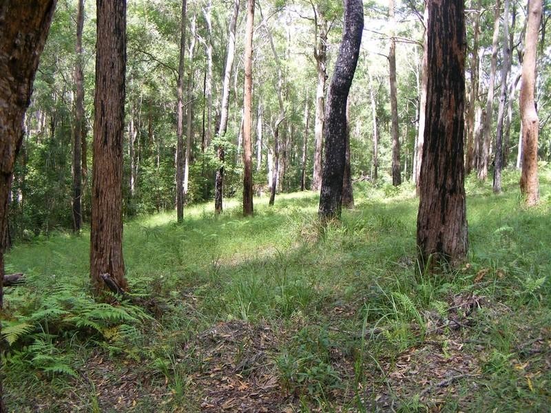 Lot 2 Dean Road, Verrierdale QLD 4562