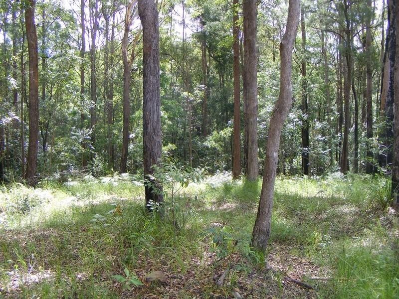 Lot 3 Dean Road, Verrierdale QLD 4562