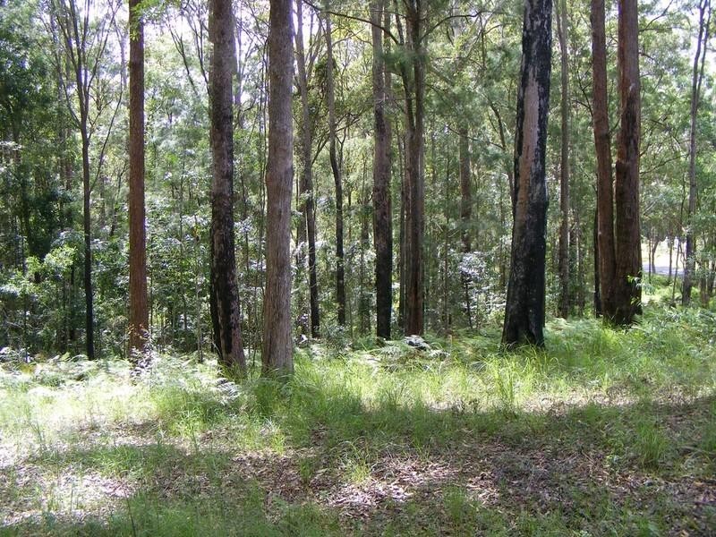 Lot 3 Dean Road, Verrierdale QLD 4562