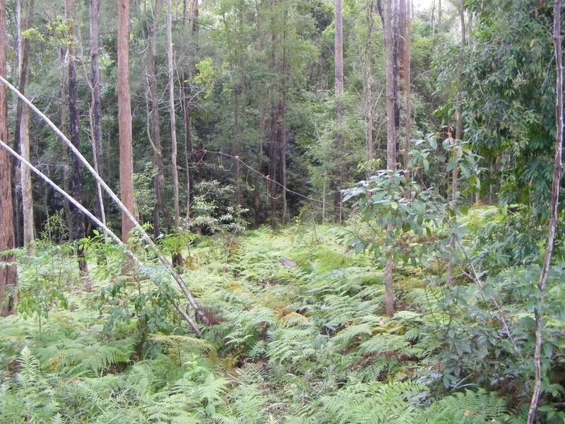 Lot 3 Dean Road, Verrierdale QLD 4562