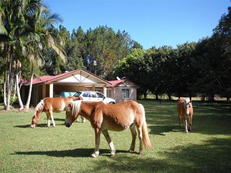 36 Haflinger Road, Yandina QLD 4561