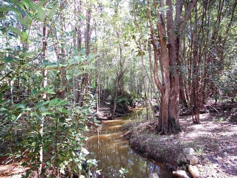 36 Haflinger Road, Yandina QLD 4561