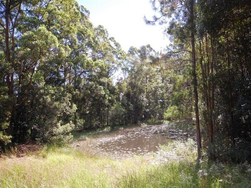 36 Haflinger Road, Yandina QLD 4561