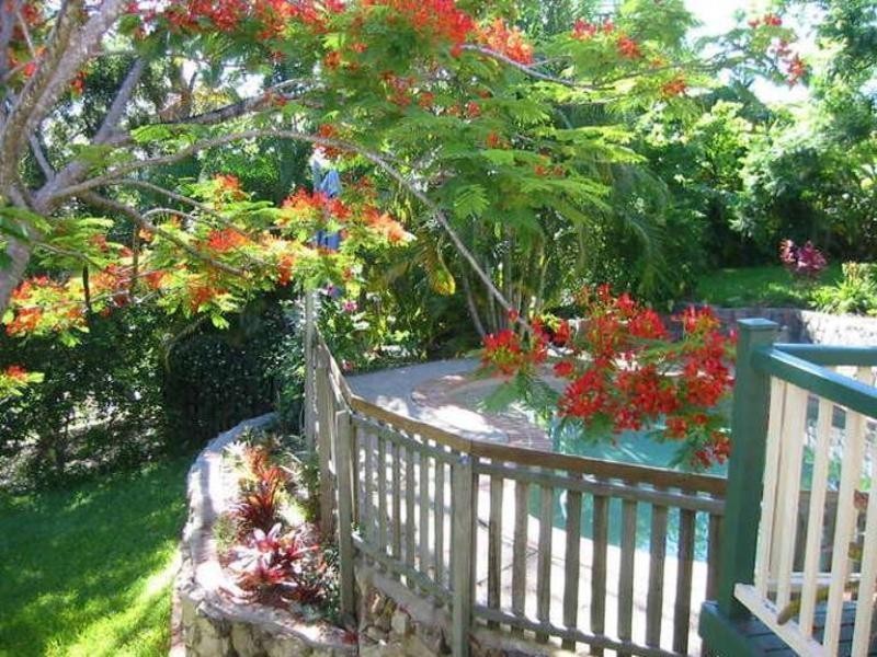 53 Cooloolabin Road, Yandina QLD 4561