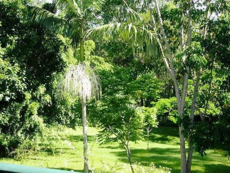 53 Cooloolabin Road, Yandina QLD 4561