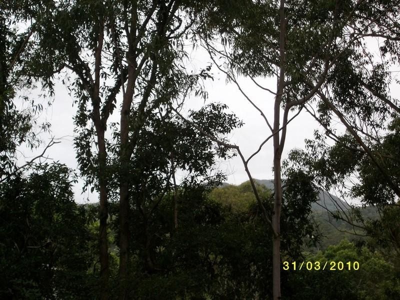 39 Seib Road, Eumundi QLD 4562