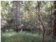 155 Dahlia Road, Verrierdale QLD 4562