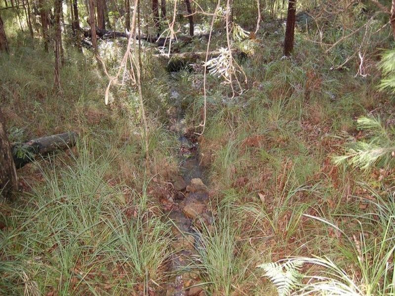 155 Dahlia Road, Verrierdale QLD 4562