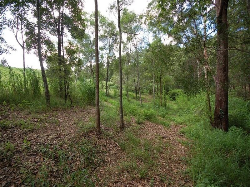 6 Naturalist Place, Doonan QLD 4562