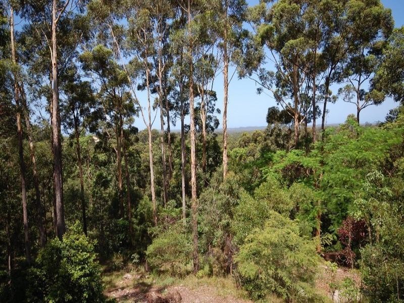 76 Foxtail Rise, Doonan QLD 4562