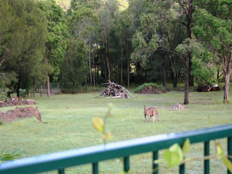 88 Sunrise Road, Tinbeerwah QLD 4563