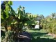 88 Sunrise Road, Tinbeerwah QLD 4563