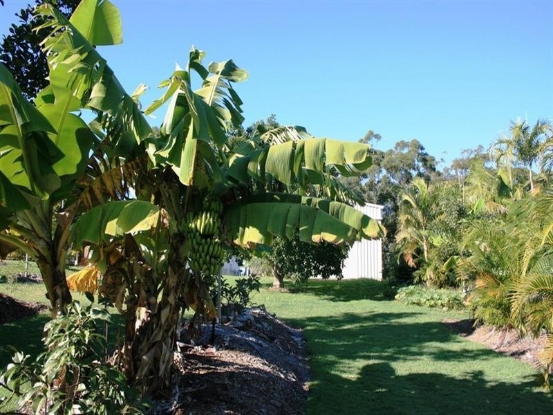 88 Sunrise Road, Tinbeerwah QLD 4563