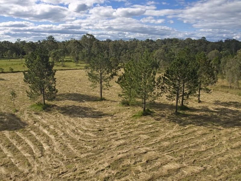 1160 Cootharaba Road, Cootharaba QLD 4565