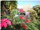 91 Duke Road, Doonan QLD 4562