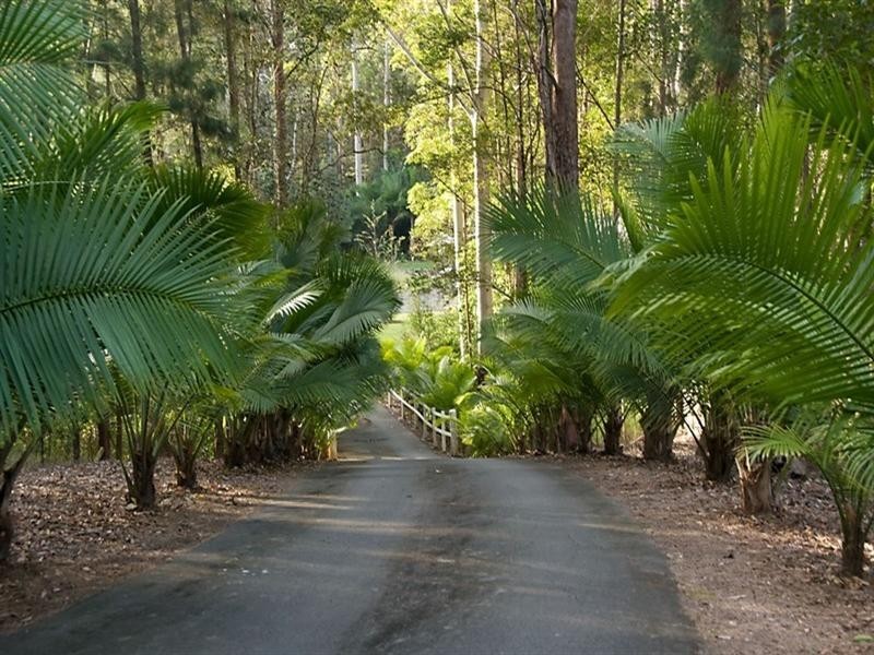 21 Greentree Place, Doonan QLD 4562