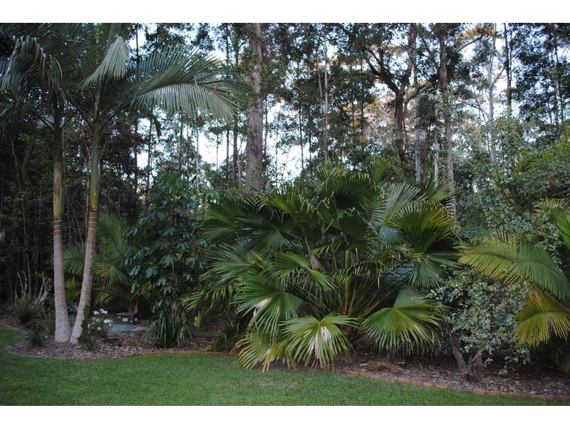 14 Avian Court, Doonan QLD 4562