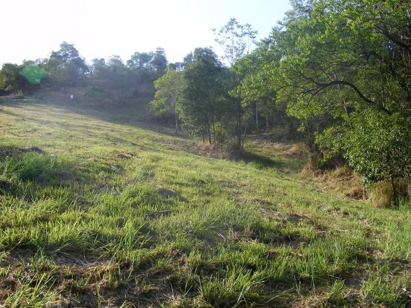 85 Grasstree Road, Eumundi QLD 4562