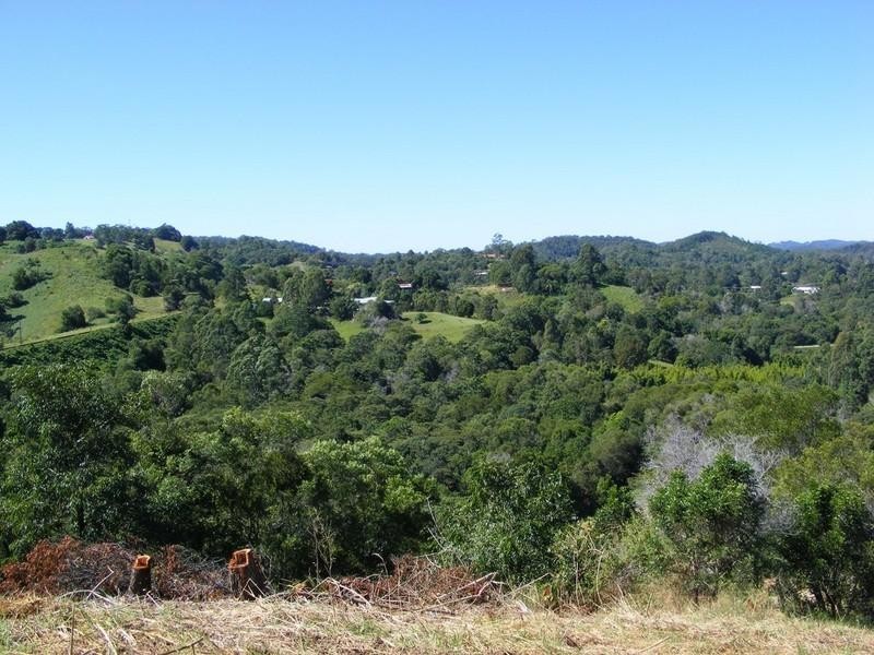 85 Grasstree Road, Eumundi QLD 4562