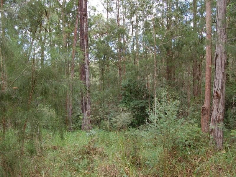 99 Tallgum Avenue, Doonan QLD 4562