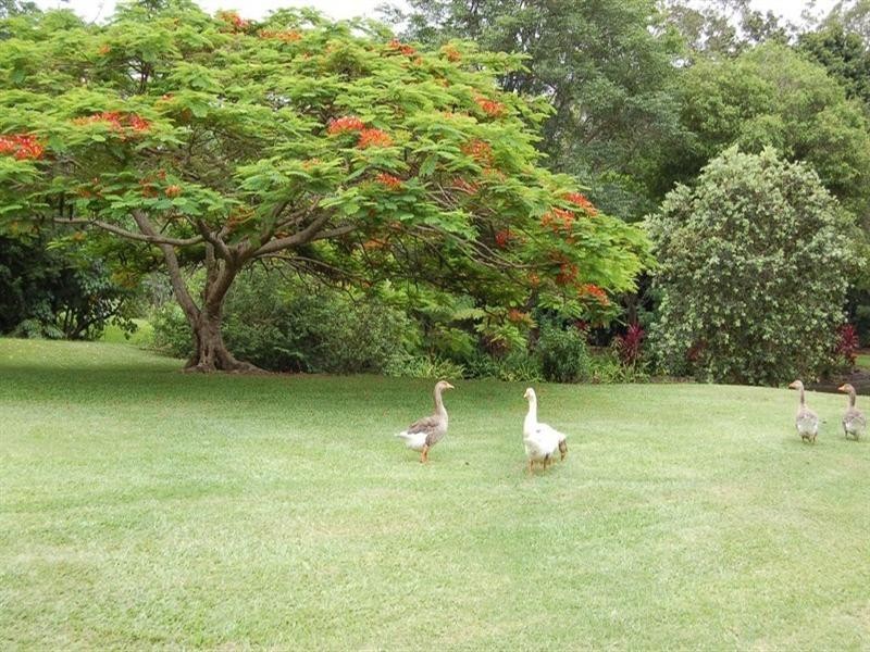 128 Valley Drive, Doonan QLD 4562
