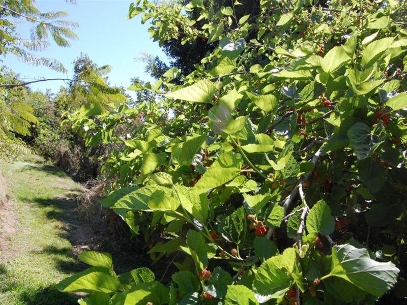 89 Panorama Drive, Doonan QLD 4562