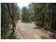 Cooroibah QLD 4565