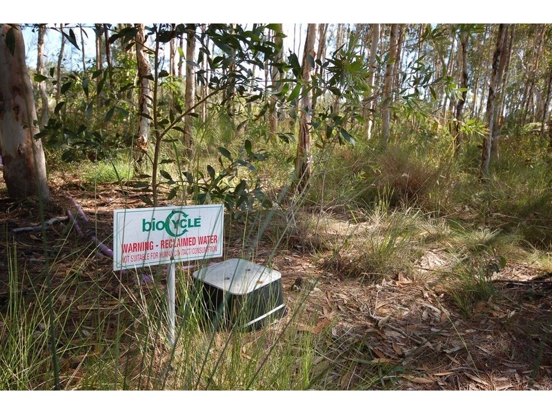 Cooroibah QLD 4565