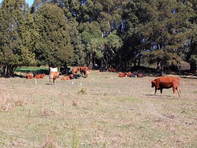 2 Monak Road, North Arm QLD 4561