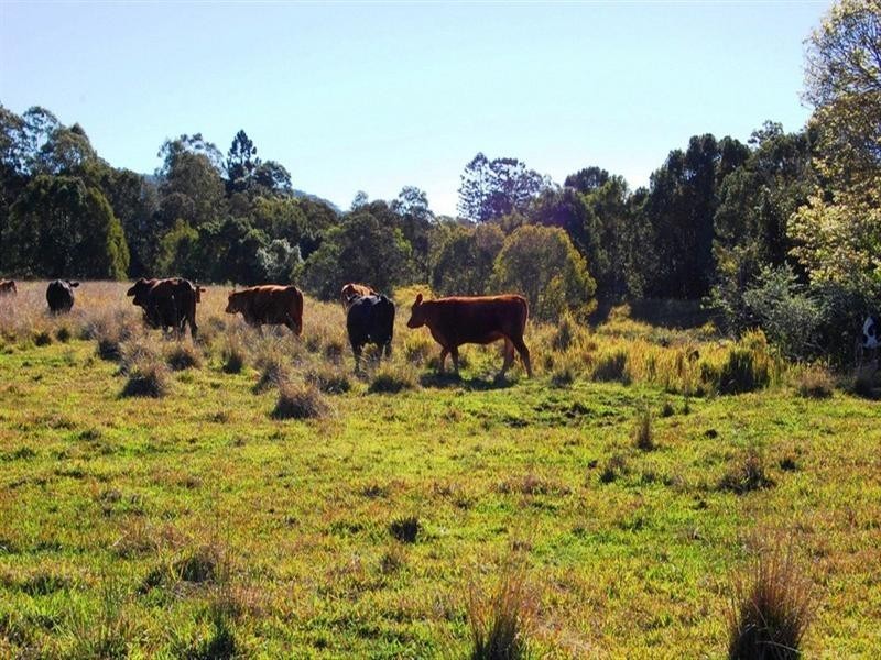 2 Monak Road, North Arm QLD 4561