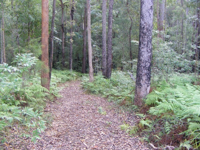 155 Dahlia Road, Verrierdale QLD 4562