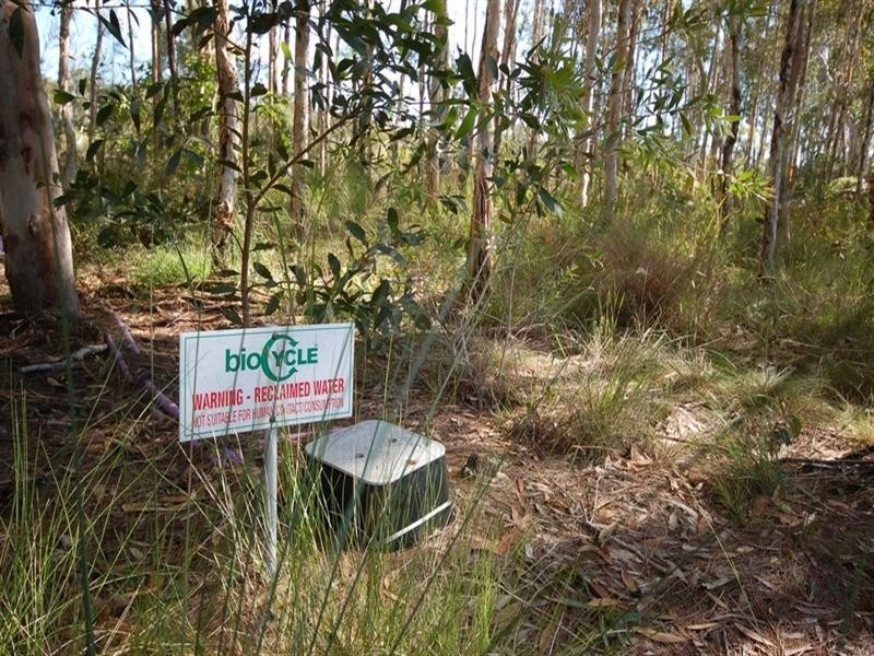 13 Coral Fern Drive, Cooroibah QLD 4565