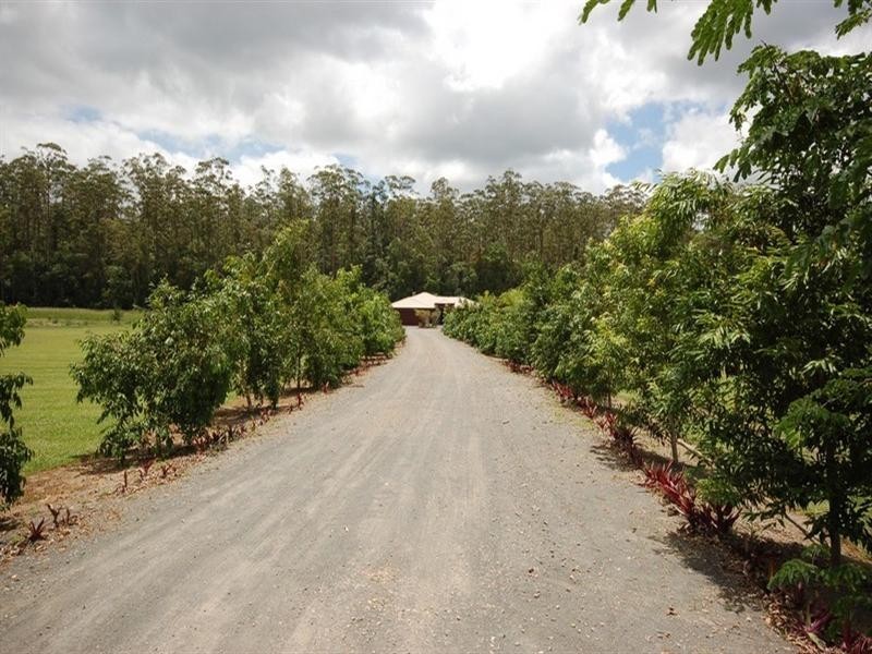 137 Burton Road, North Arm QLD 4561