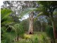 88 Annie Drive, Peregian Beach QLD 4573