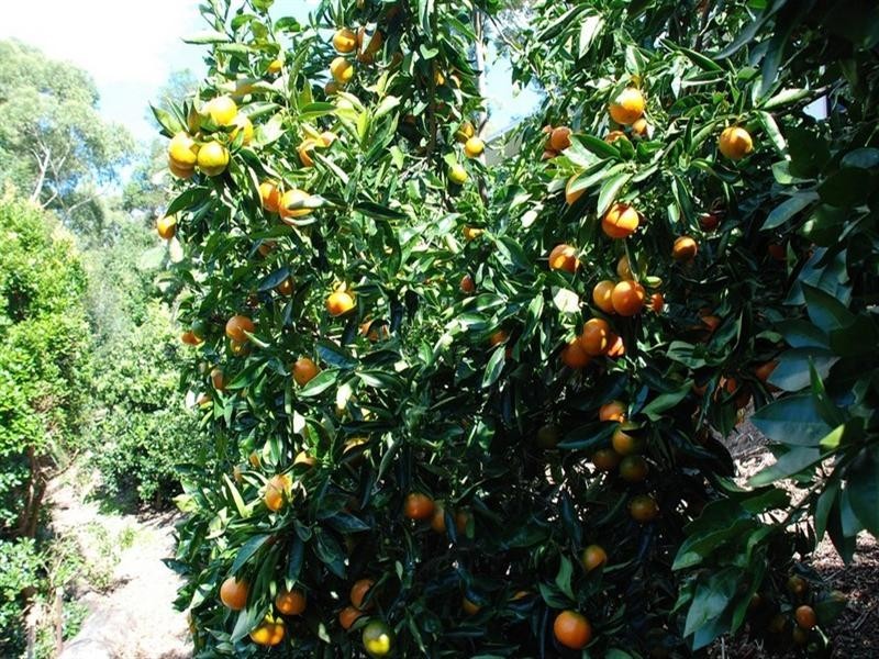 15 Coast View Parade, Doonan QLD 4562